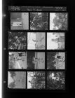 Park pictures (12 Negatives (June 18, 1959) [Sleeve 31, Folder b, Box 18]